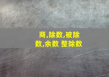 商,除数,被除数,余数 整除数